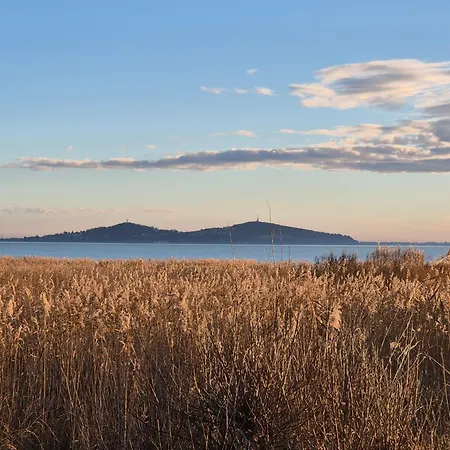 Albatros Nyaralo Prázdninový dům